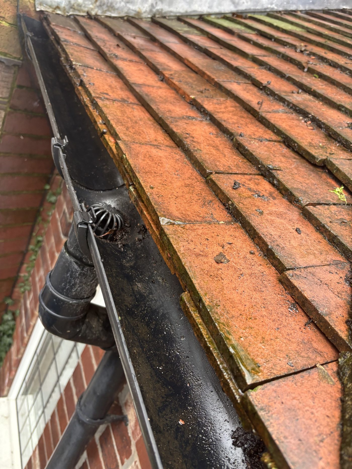 Clean gutter fitted with leaf guard after